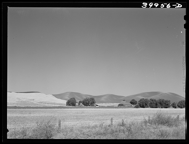 Photo:Whitman County Washington 1941 Farmstead and Wheatland Landscape