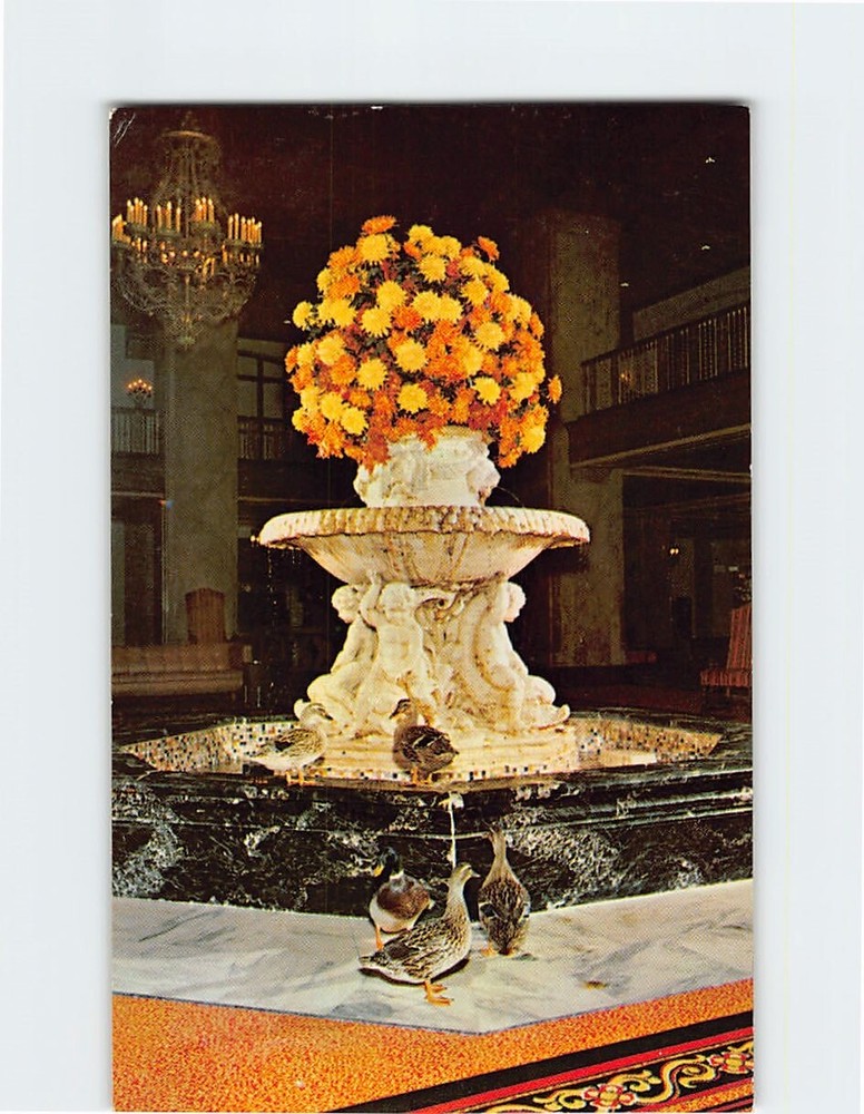 Postcard Sheraton Peabody Hotel Memphis Tennessee USA