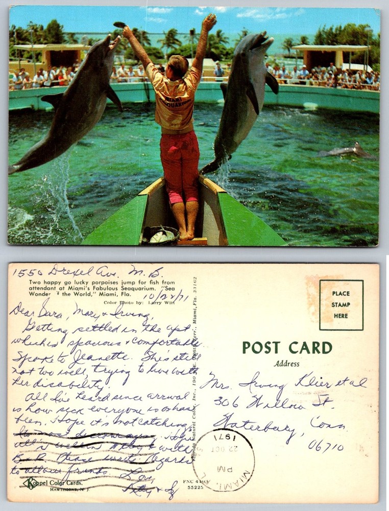 Vintage Miami Seaquarium Dolphin Show Postcard 1971 Florida Chrome