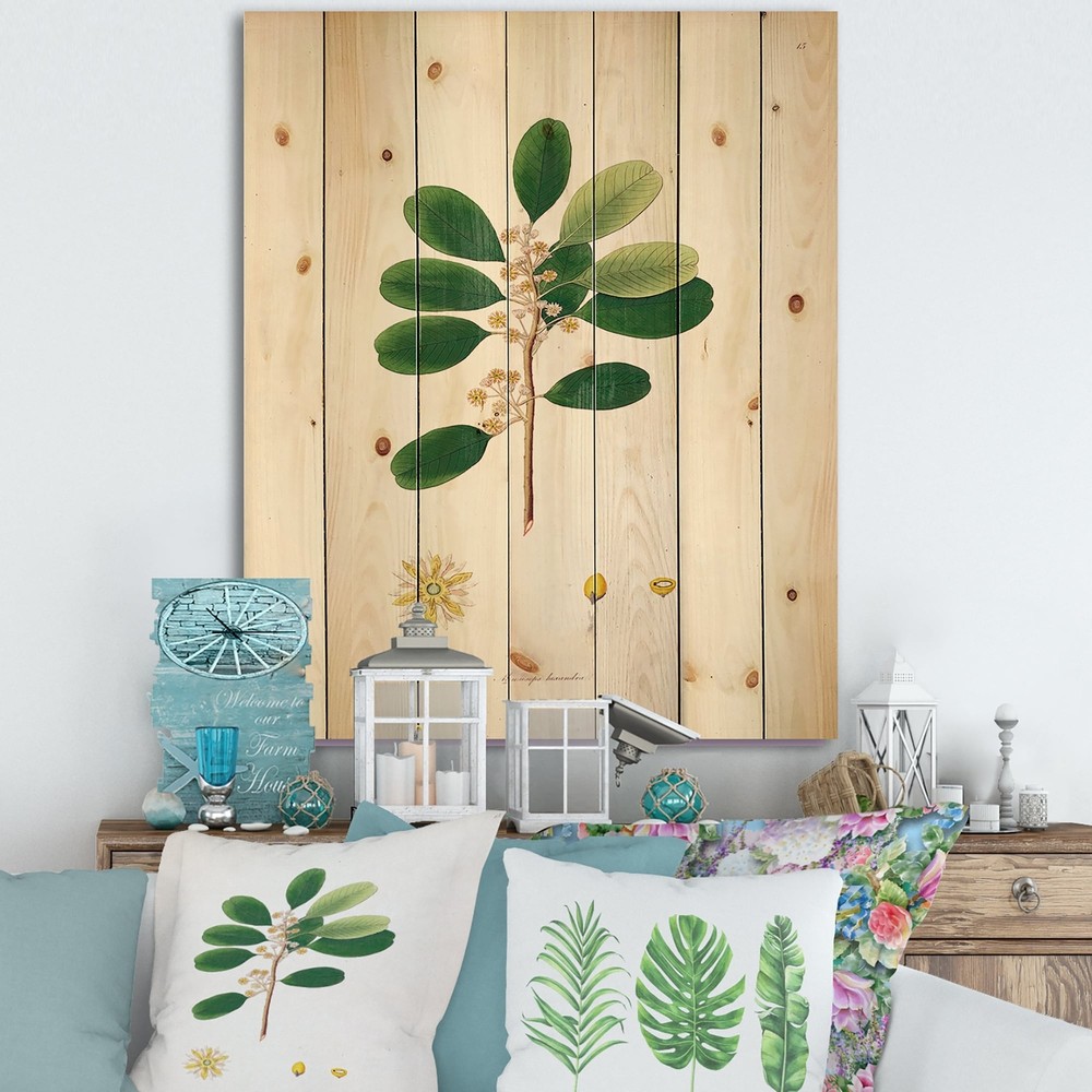 Designart 'Vintage London Plants IX' Farmhouse Print on