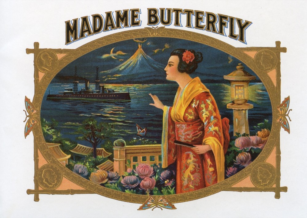 Decor Madame butterfly Poster. Fine Graphic Art Design. Home Shop Wall Art. 2007