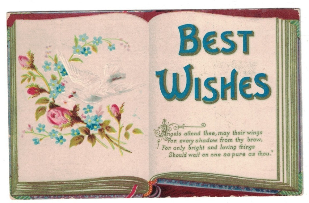 Antique 1910 Best Wishes Embossed Open Book White Dove Roses Greetings Postcard