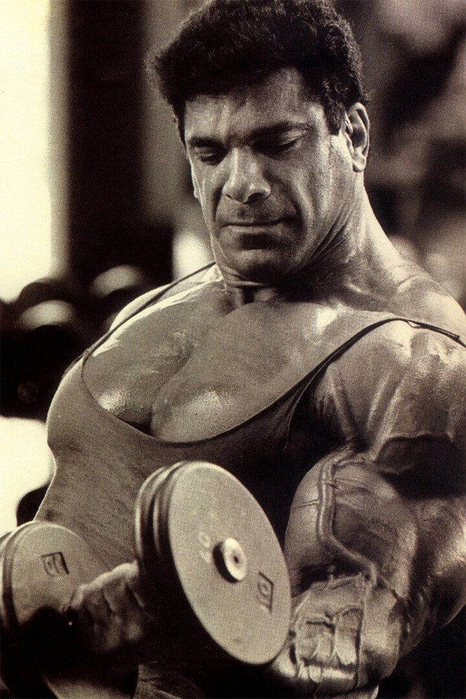 Lou Ferrigno Bodybuilding Motivational Poster Wall Art Home Gym Decor