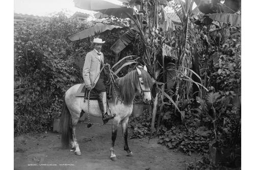 Venezuelan horseman,riding,Caracas,Venezuela,Detroit Publishing Company,1900