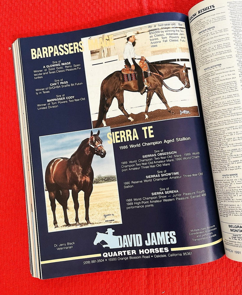 1991 QUARTER HORSE JOURNAL Book, THE GENUINE ARTICLE (RARE Halter Photo) - COOSA