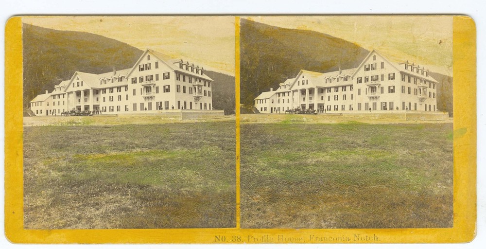 G0168~ Profile House HN & Carriage – Hand Tinted Kilburn Bros Stereoview c.1870s