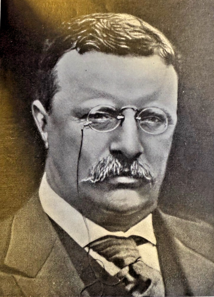 1905 President Theodore Roosevelt illustrated