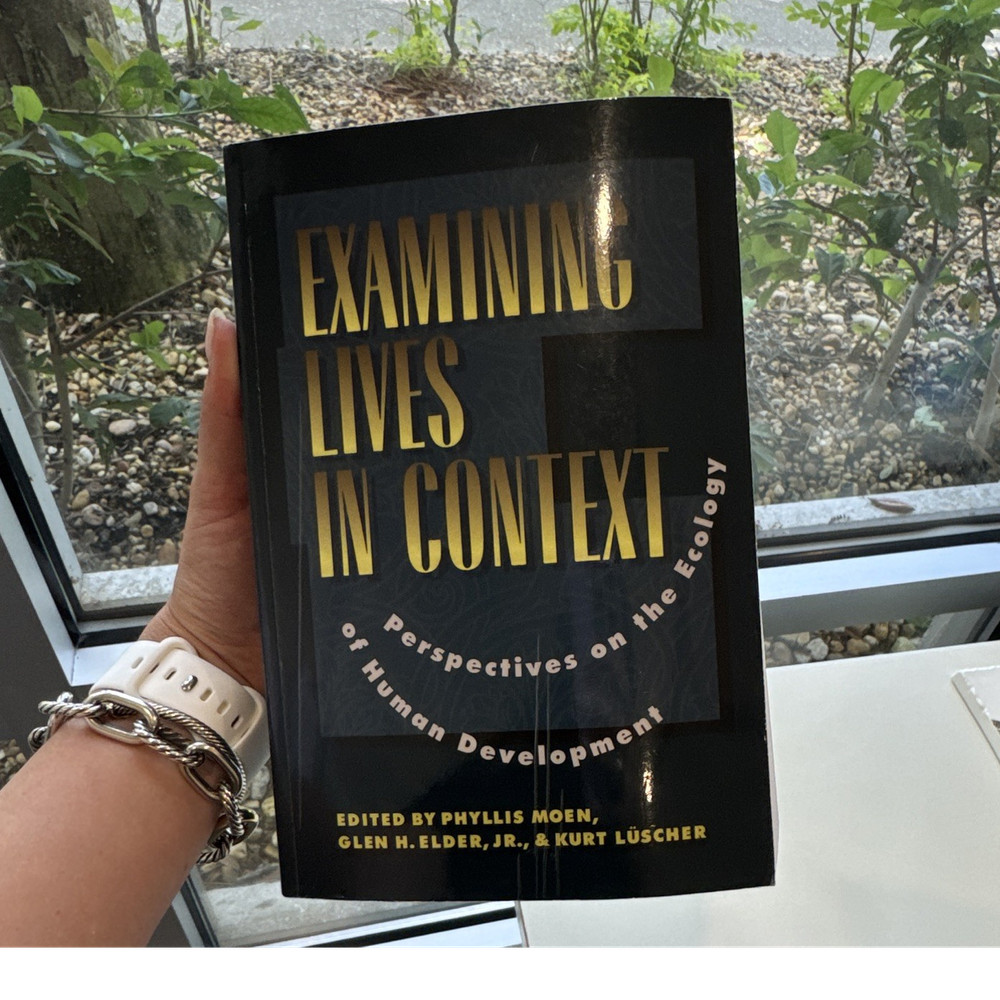 American Psychological Association Examining Lives in Context Moen PB 1995