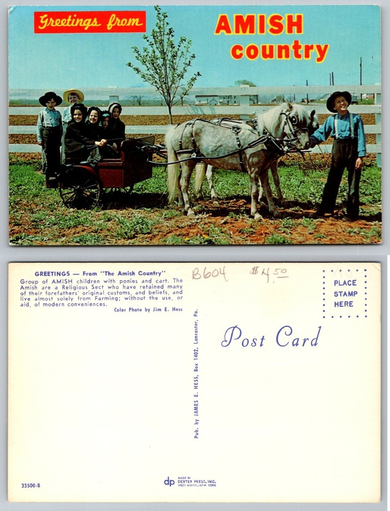 Vintage Greetings Amish Country Postcard Children Ponies Cart Lancaster PA