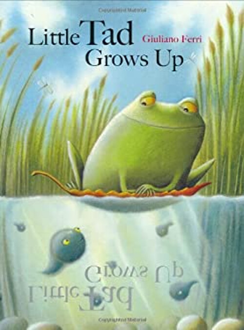 Little Tad Grows Up Hardcover Giuliano Ferri