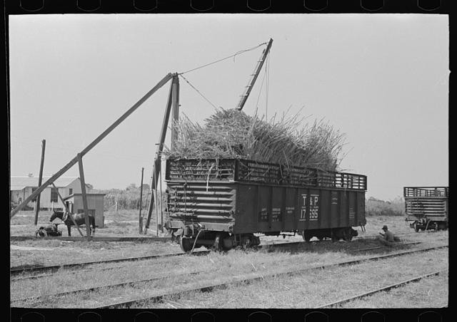 New Roads,Louisiana,LA,Farm Security Administration,FSA,November 1938,2