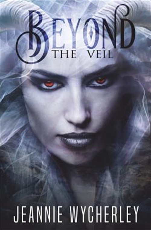 Beyond the Veil (Paperback or Softback)