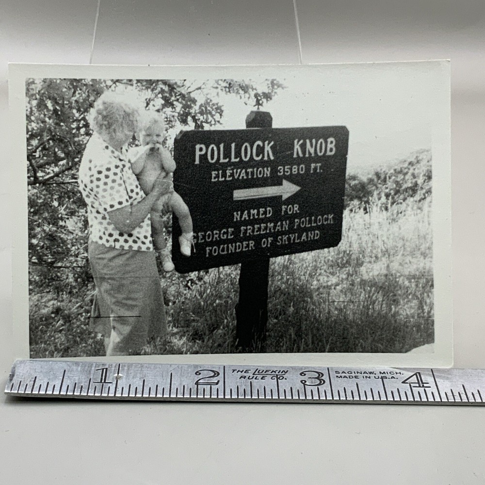 Vintage N/W Photo Of The Trailhead Going To Pollock Knob In Virginia