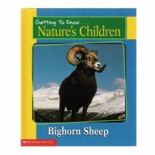 Bighorn Sheep (Nature's Children) - Hardcover, by Ivy Bill - Very Good x