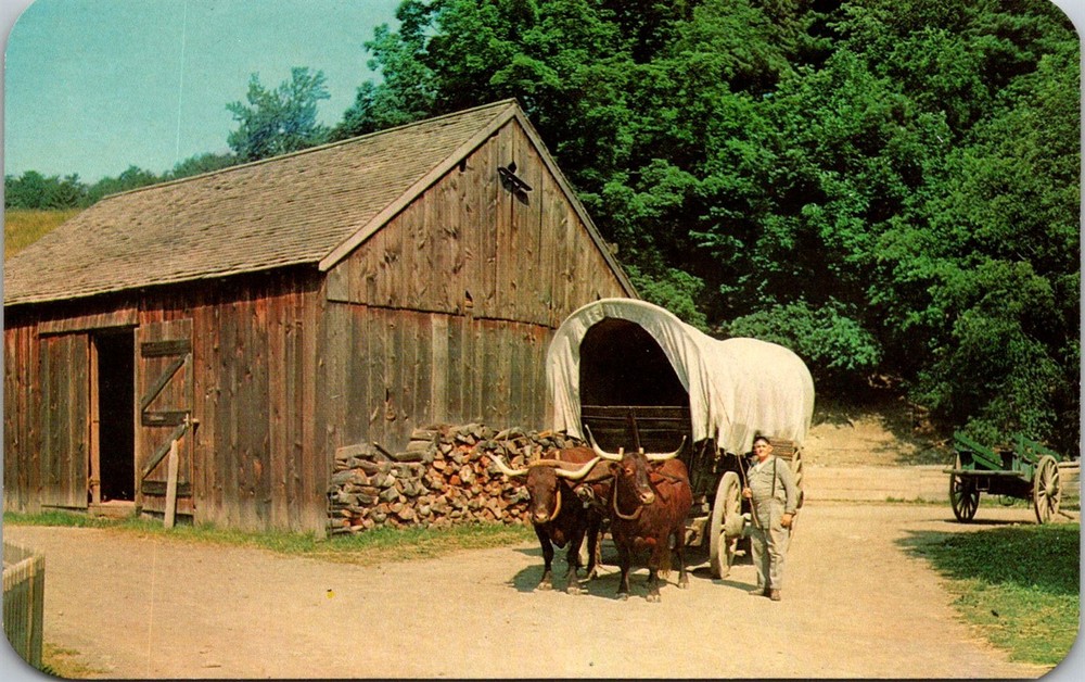 Dr Jim Stamps Postcard Farmers Museum Cooperstown N.Y. Ox Team Covered Wagon