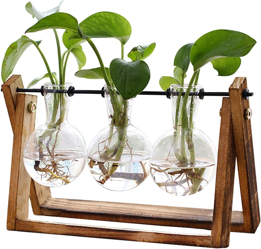 XXXFLOWER Plant Terrarium with Wooden Stand, Air Planter Bulb Glass Vase Metal