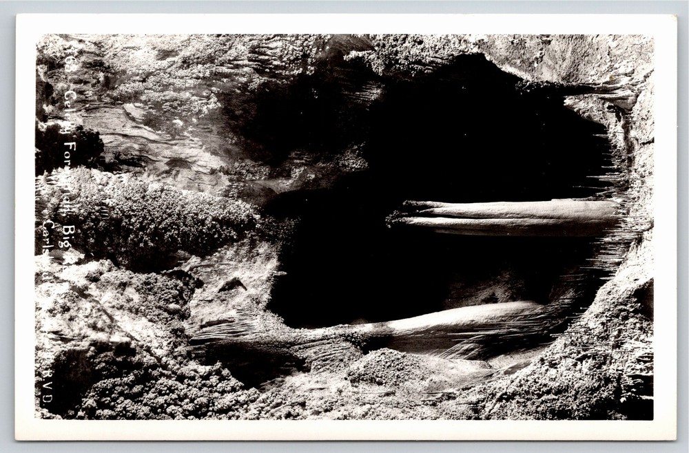 RPPC~New Mexico~Celery Formation @ Carlsbad Cavern Natl Park~Real Photo Postcard