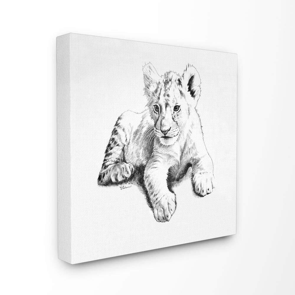 Black and White Baby Lion Large Cat Animal Design Canvas Wall Art, 24 x 24, M...