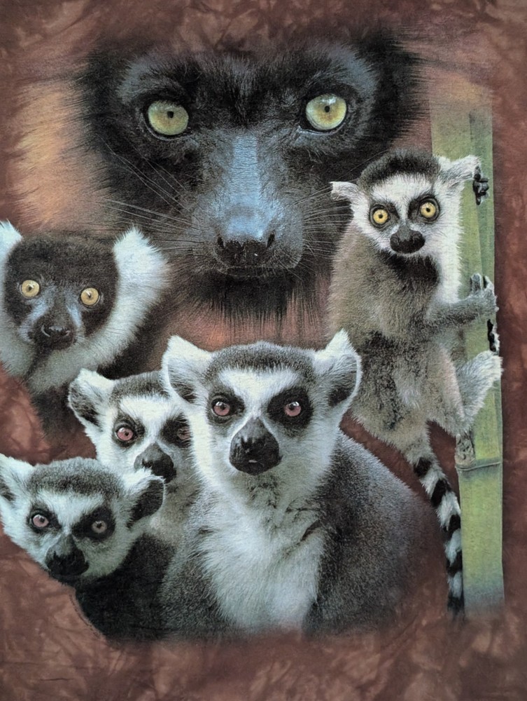 The Mountain Mens T-shirt Vintage Brown Lemur Collage Leather Tag Large #6242