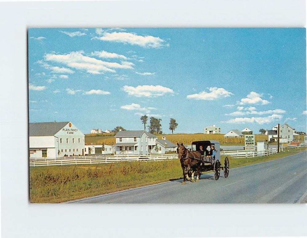 Postcard An Amish family buggy Pennsylvania USA