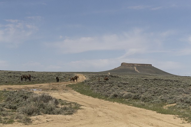 Pilot Butte Wild Horse Loop Green River Wyoming 2016 Horses Plateau Trail