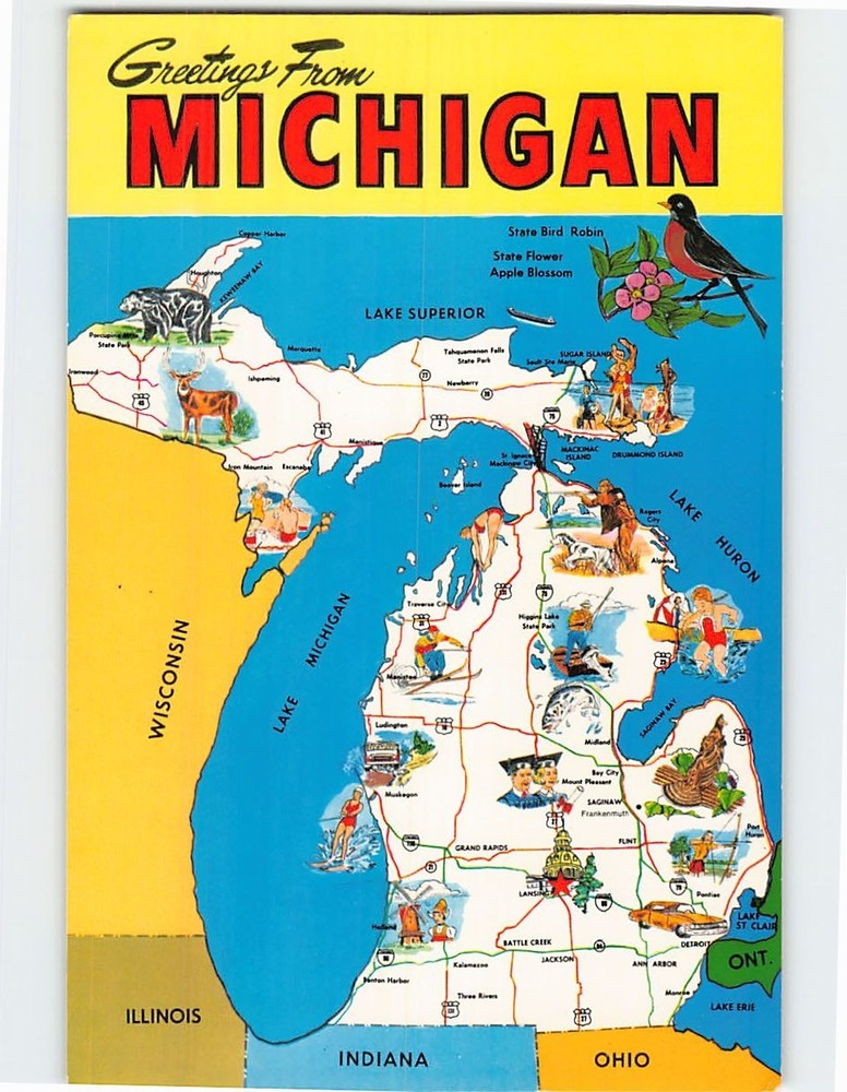 Postcard Greetings From Michigan USA