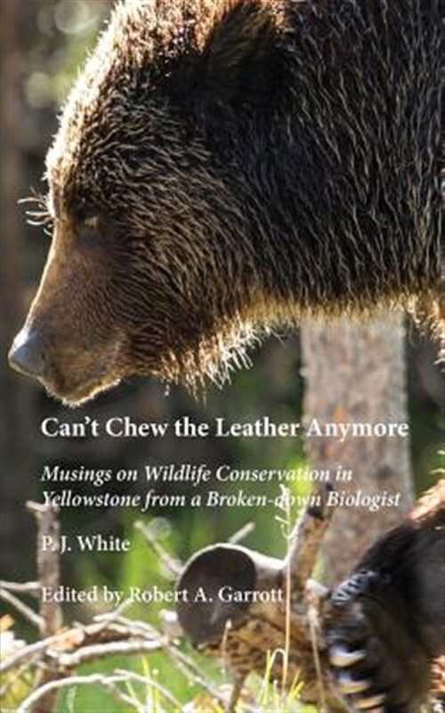 Struggling with Wildlife Conservation in Yellowstone National Park