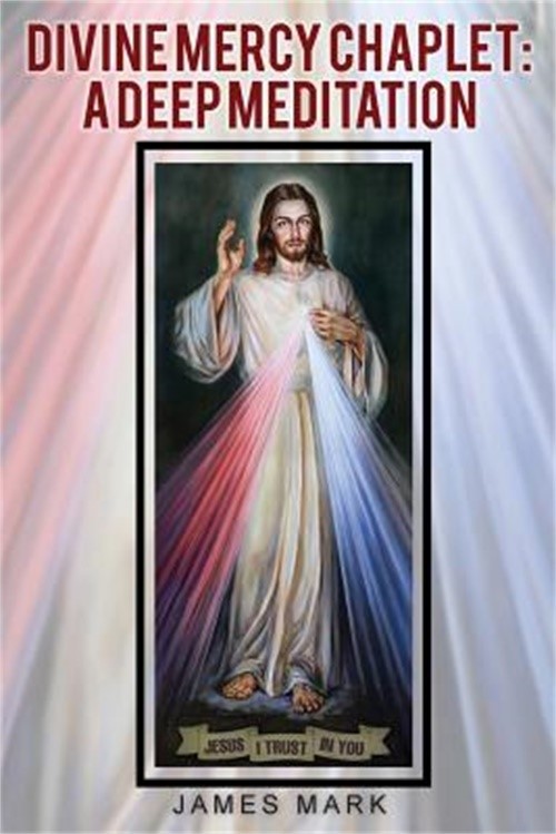 The Divine Mercy Chaplet: A Deep Meditation (Paperback or Softback)