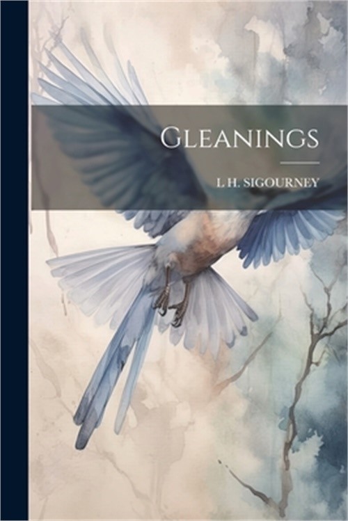 Gleanings (Paperback or Softback)