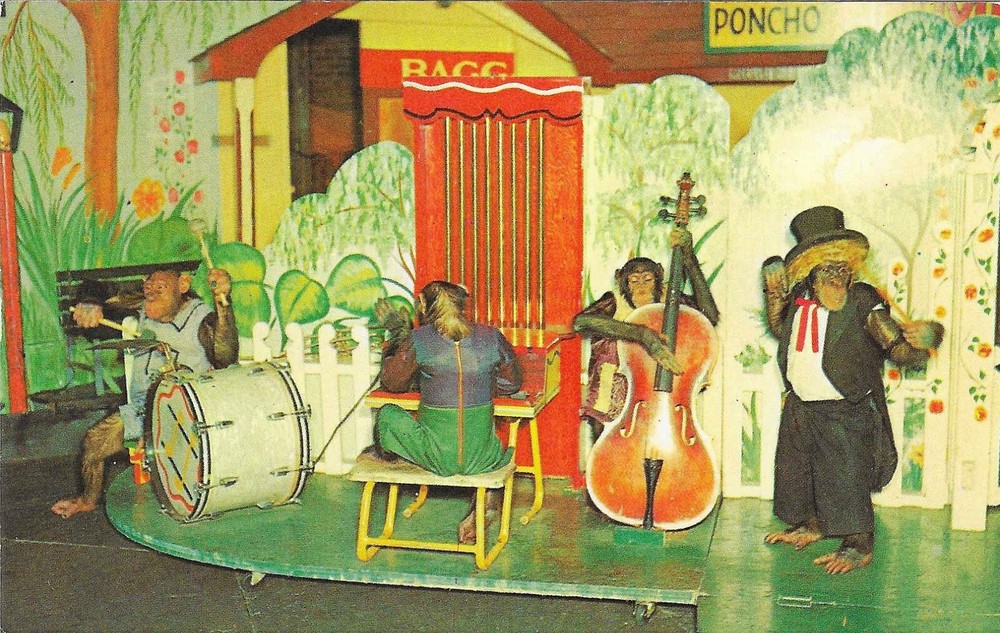 Vintage Missouri Chrome Postcard St Louis Forest Park Chimpanzees Performing Zoo