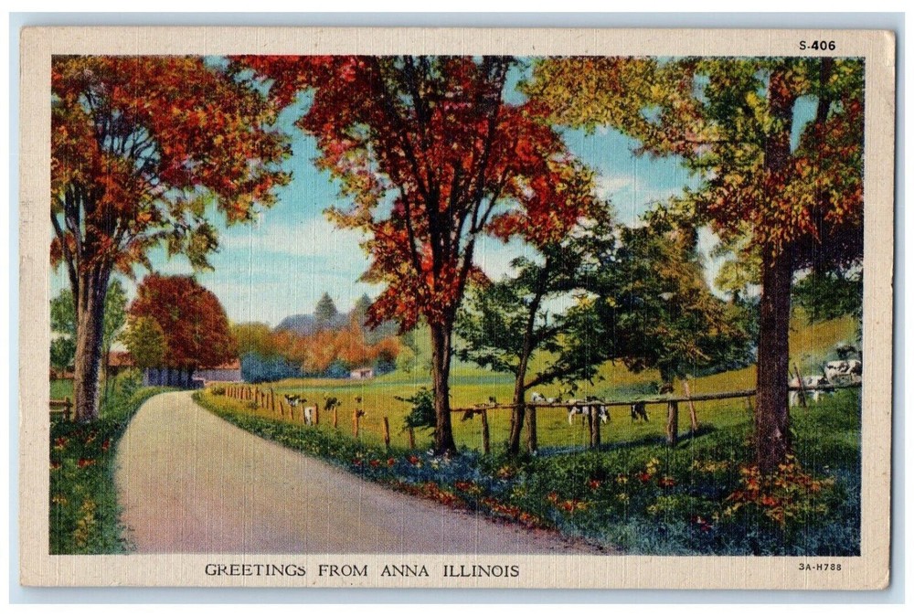 1948 Greetings From Anna Illinois IL, Road And Trees View Vintage Postcard