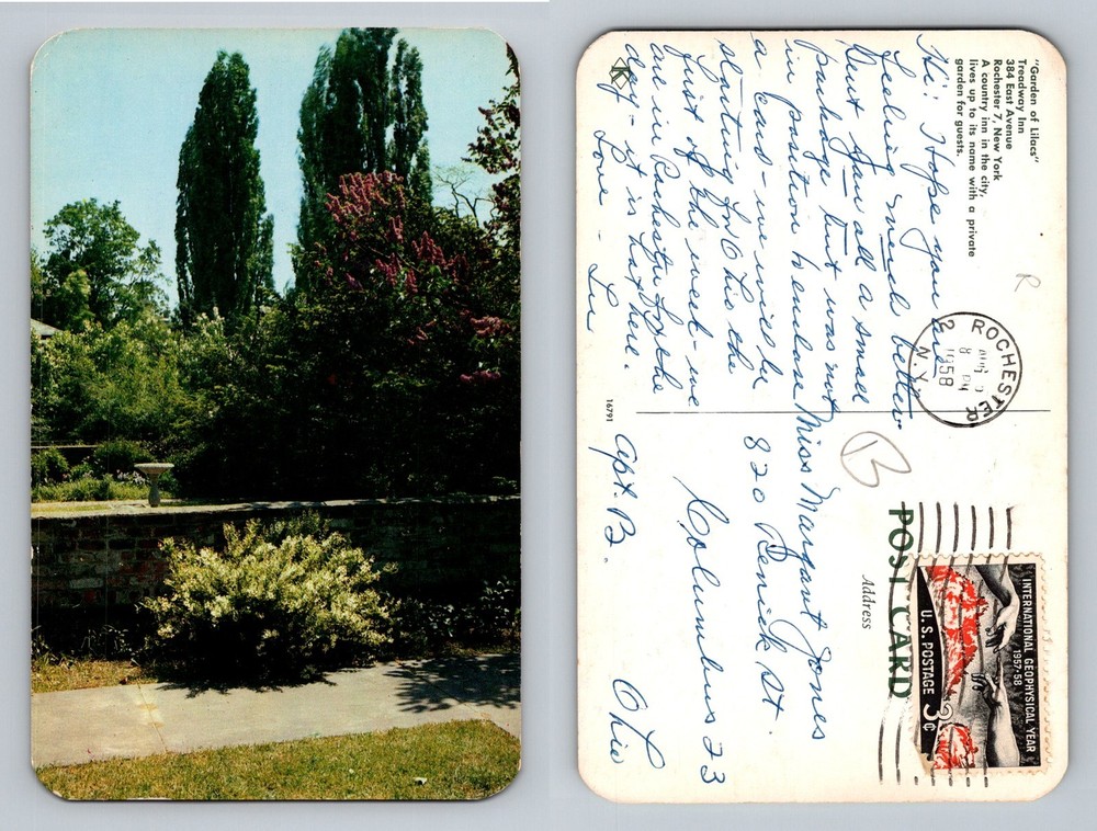 Rochester NY-New York, Garden and Lilacs Spring Scene, Vintage c1958 Postcard