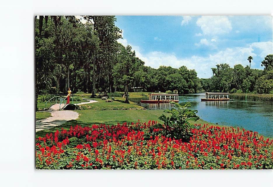Postcard Glass Bottom Boats Silver River Silver Springs Florida USA