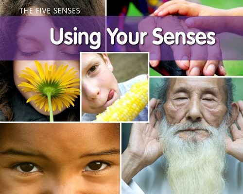 Using Your Senses Paperback Rebecca Rissman