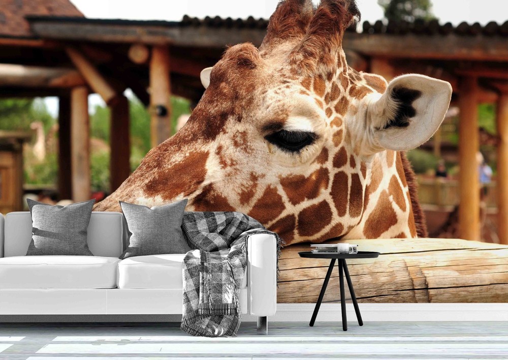 3D Giraffe Close-up Wall Murals Wallpaper Murals Wall Sticker