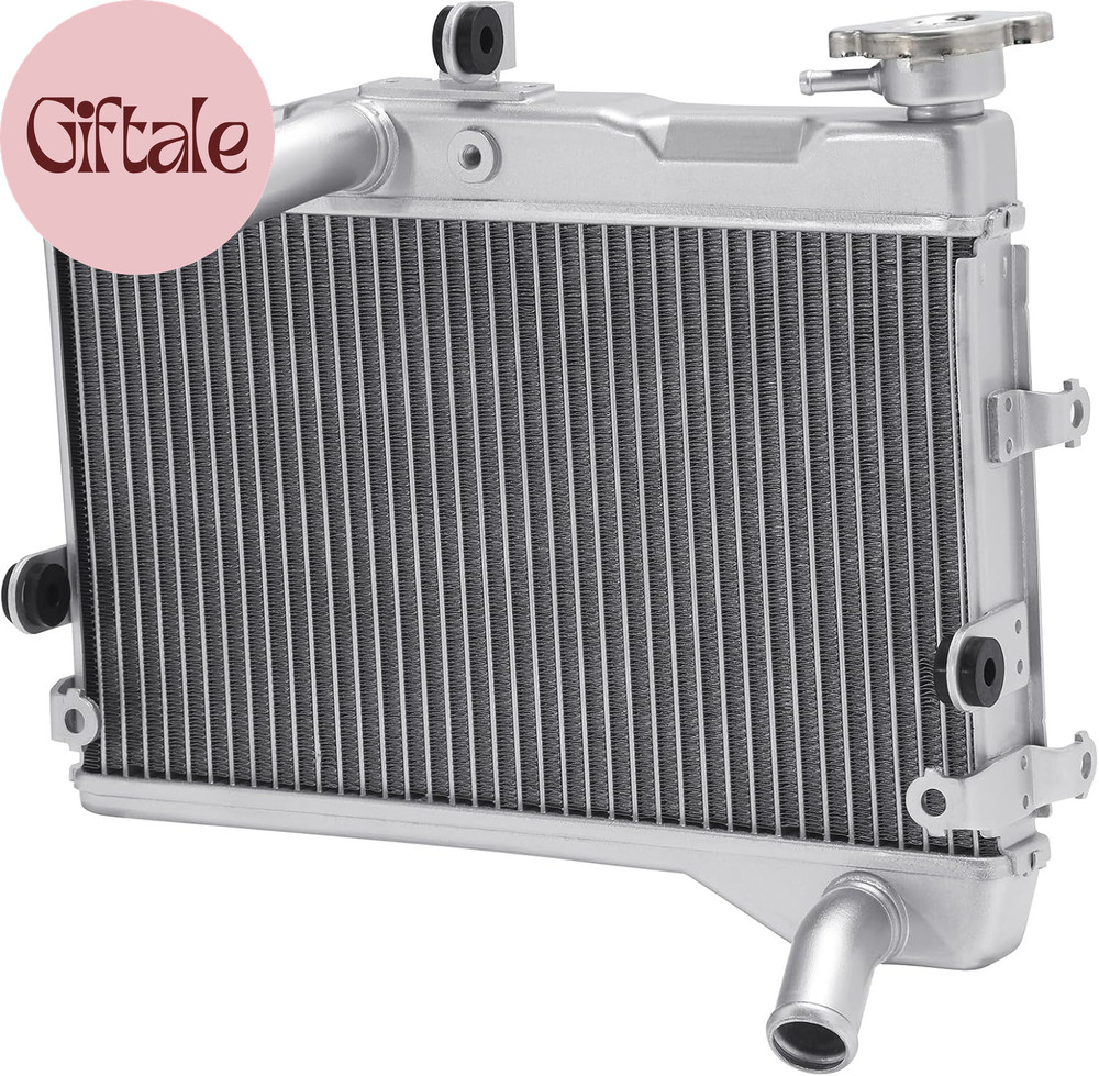 Radiator Oil Cooling Cooler Fit for Yamaha FZ07 FZ 07 MT07 2015-2020 XSR700 2018