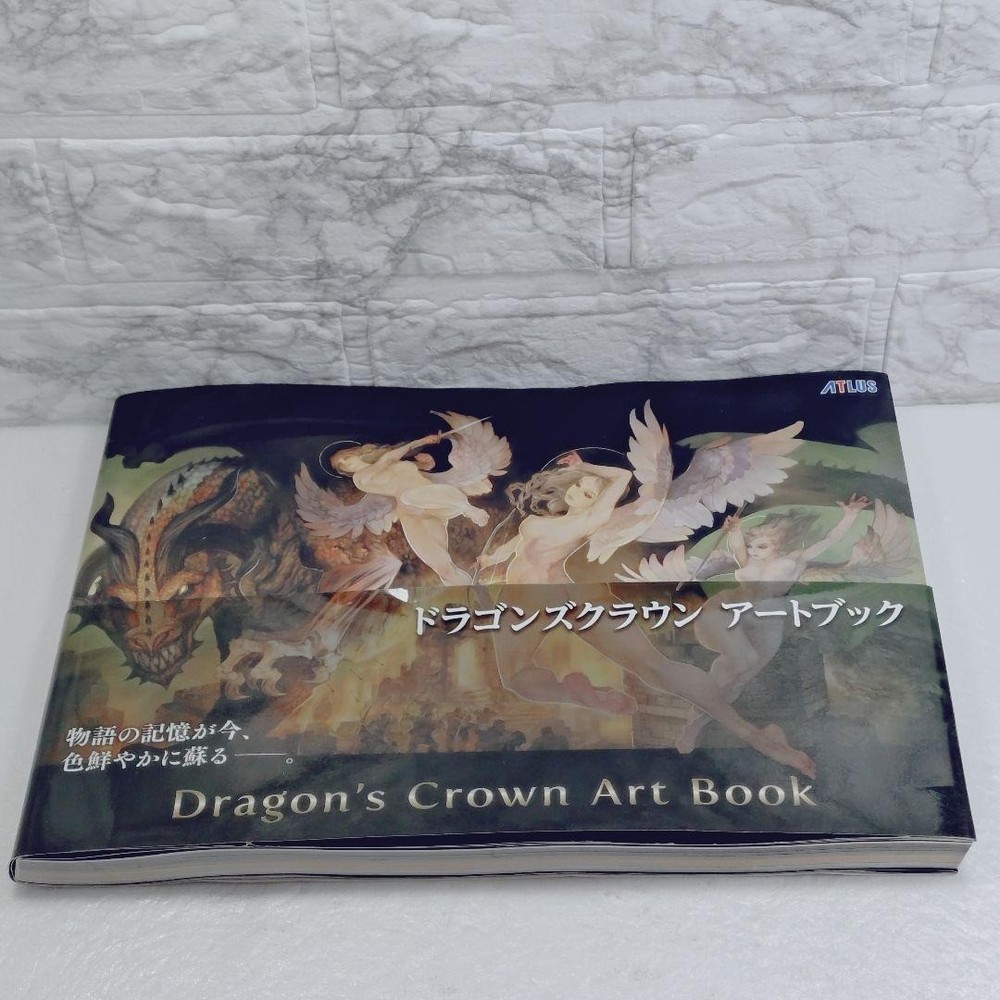 Dragon's Crown Art Book 208P