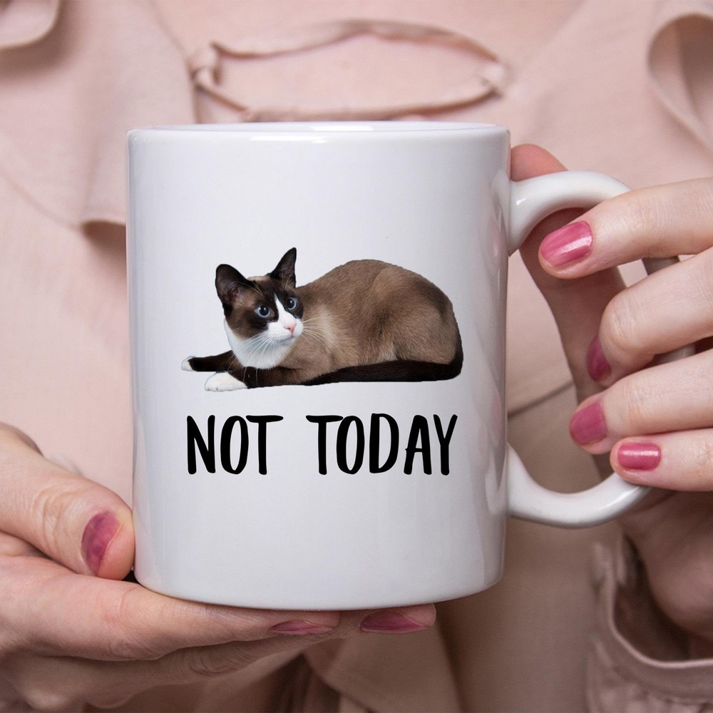 Funny Snowshoe Cat Seal Point Not Today Cat Mug Lazy Gift For Cats Lovers Coffee