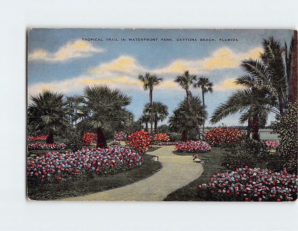 Postcard Tropical Trail Waterfront Park Daytona Beach Florida USA