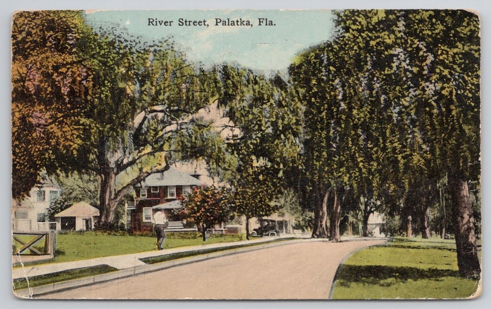River Street Palatka FL Postcard E.C. Kropp Co. Florida Vintage View