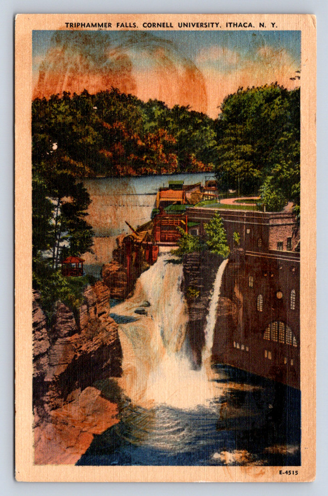 Vintage Postcard Triphammer Falls Cornell University Ithaca New York