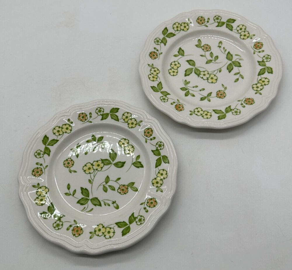 2 Vintage Sears Petite Flora Ironstone Salad Plates Plate 7 5/8 Floral Japan