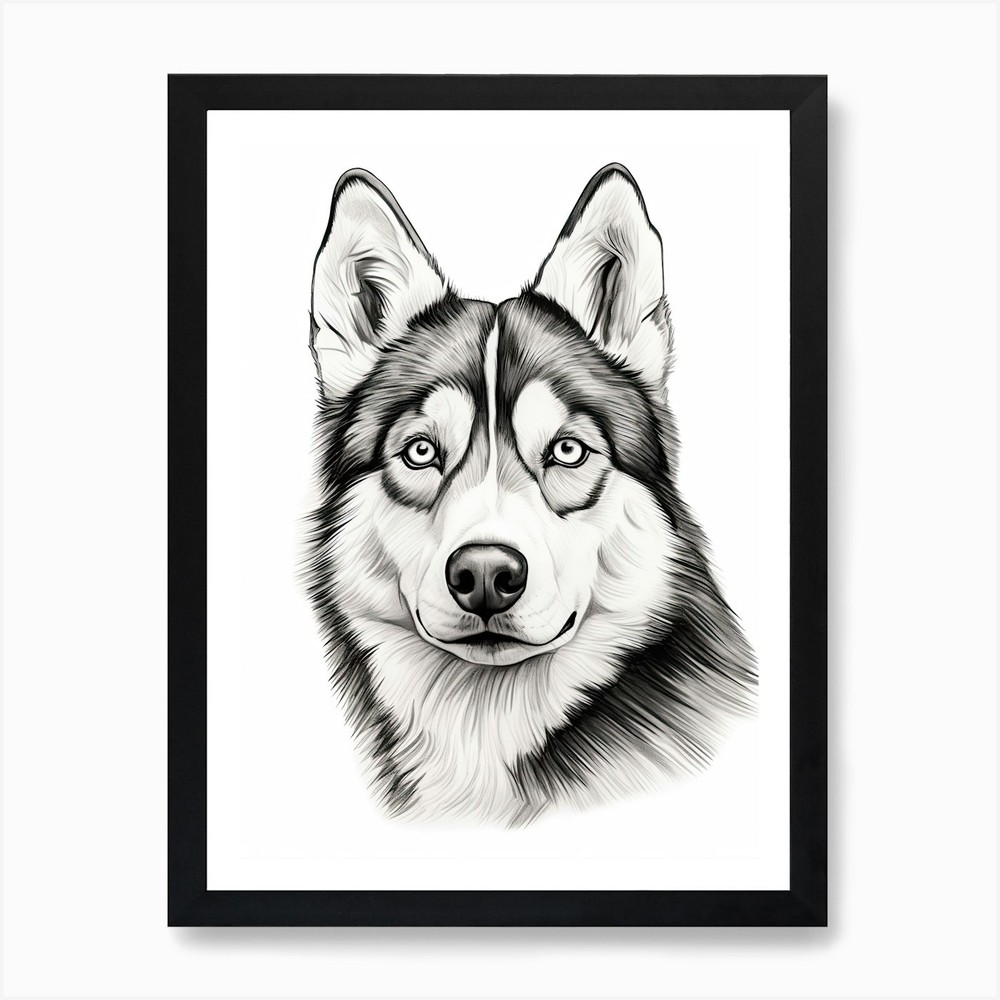 Siberian Husky Line Drawing Framed Wall Art Canvas Print