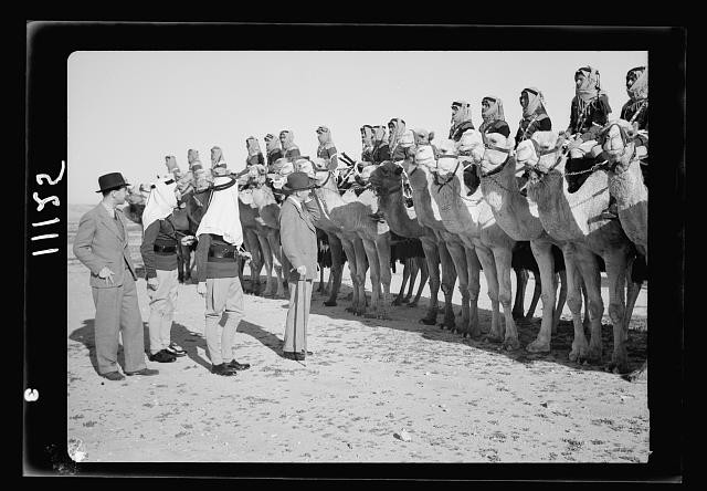 Beersheba,inspection,Camel Corps by His Excellency,Sir Harold McMichael,1940,5