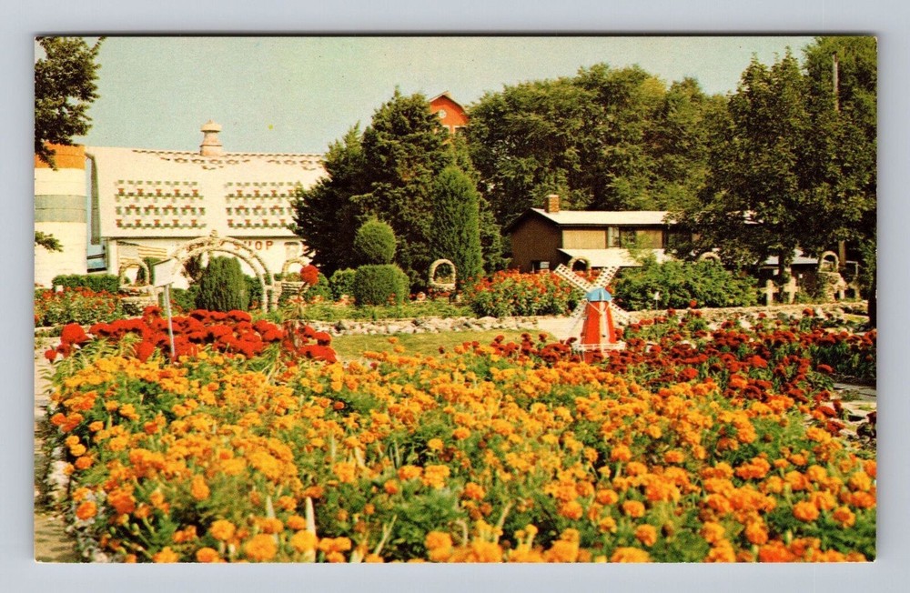 Arcola IL-Illinois Greetings from Rockome Gardens Vintage Postcard