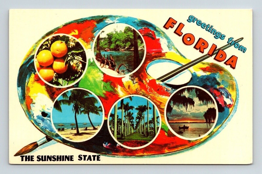 Greetings Florida Sunshine State Multi View Scenic Landmarks Chrome Postcard