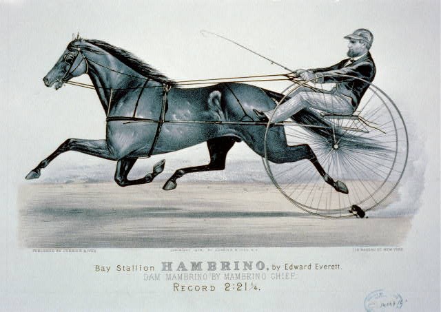 Photo:New York Bay Stallion Hambrino Harness Racing 1879 Currier & Ives