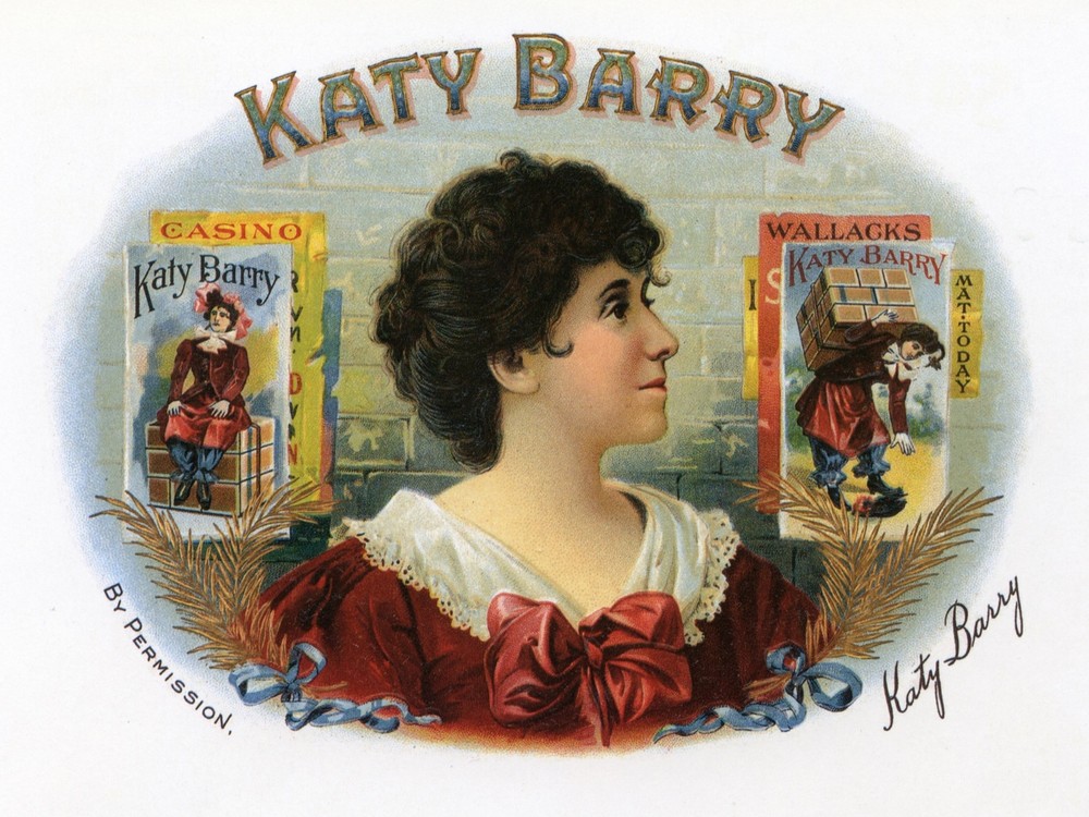 Decor Katy Barry Poster.Fine Graphic Art Design Home Shop studio Wall Art.2017