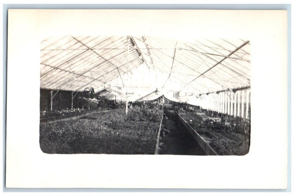 c1910's Greenhouse Interior View East Orange NJ RPPC Photo Unposted Postcard