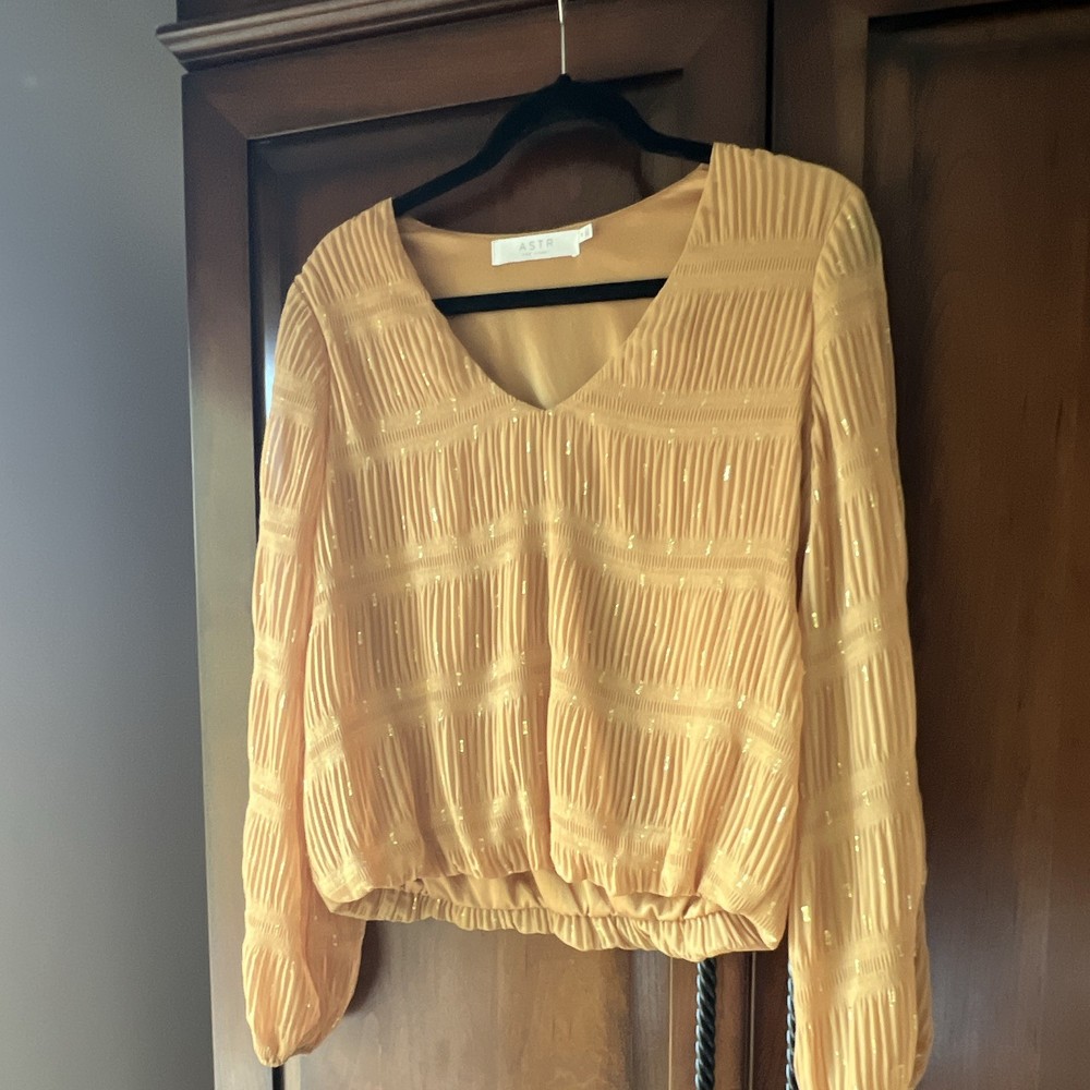 ASTR The Label Beige Chiffon Sequin V-Neck Puff Long Sleeve Blouse M